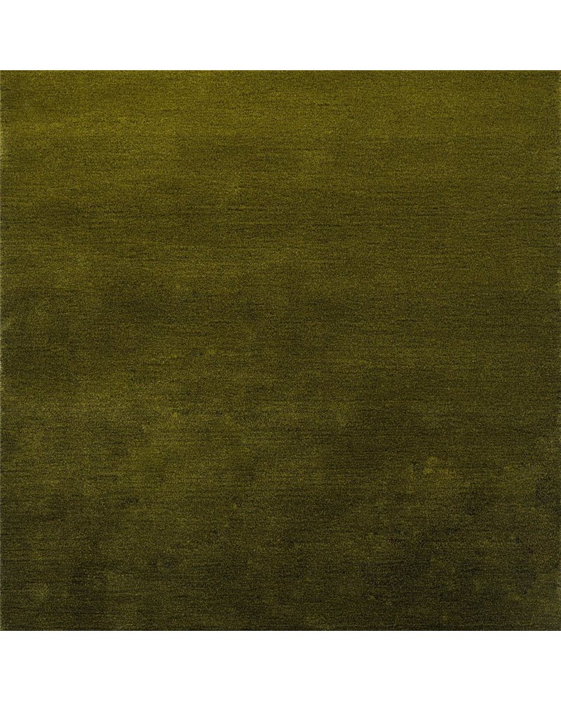 Shade Low Olive Deep Forest 010107