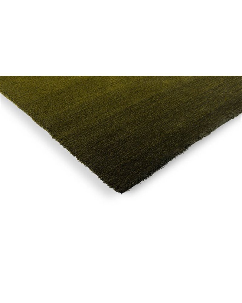 Shade Low Olive Deep Forest 010107